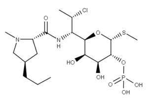 Clindamycin Phosphate